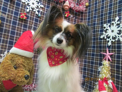 ファイル 5726-2.jpg