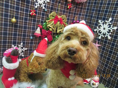 ファイル 5727-1.jpg