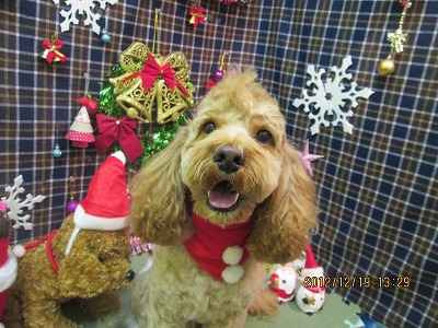 ファイル 5727-2.jpg