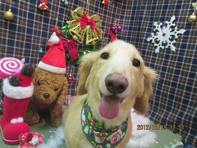 ファイル 5728-2.jpg