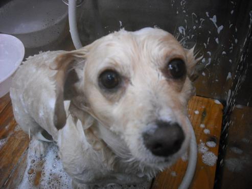 ファイル 573-2.jpg