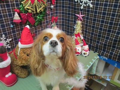 ファイル 5731-2.jpg