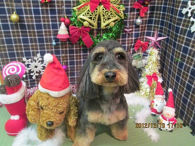 ファイル 5732-2.jpg