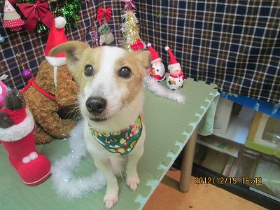 ファイル 5733-2.jpg