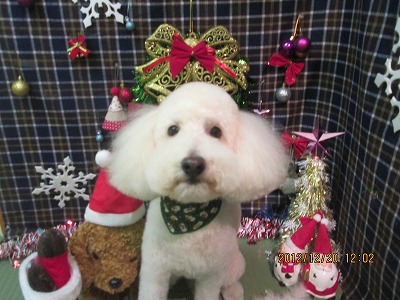 ファイル 5734-1.jpg