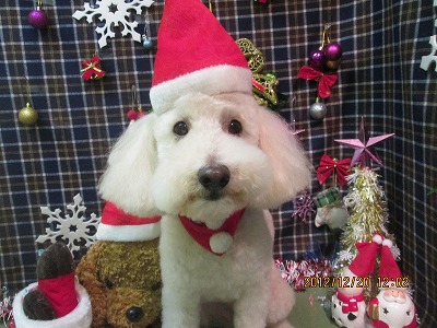 ファイル 5734-2.jpg