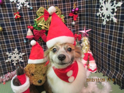 ファイル 5735-2.jpg