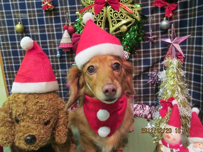 ファイル 5736-1.jpg