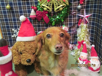 ファイル 5736-2.jpg