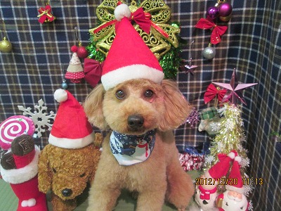 ファイル 5737-1.jpg