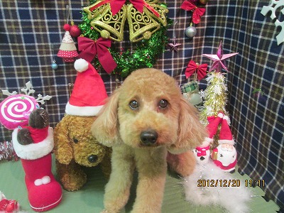 ファイル 5737-2.jpg