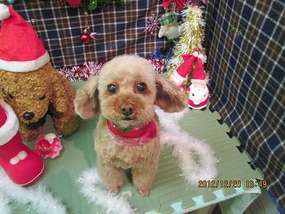 ファイル 5738-2.jpg