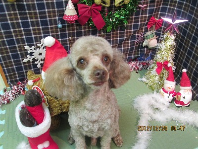 ファイル 5739-2.jpg