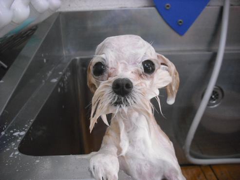 ファイル 574-2.jpg