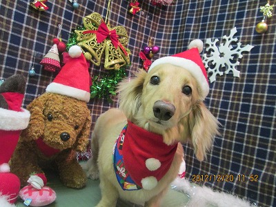 ファイル 5740-1.jpg