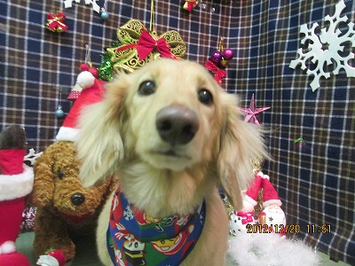 ファイル 5740-2.jpg