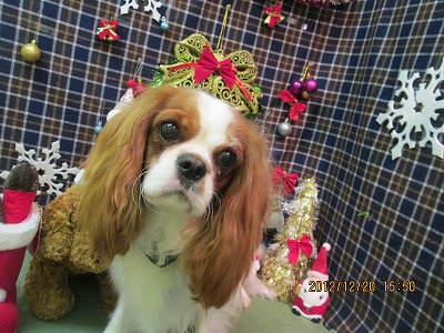 ファイル 5741-2.jpg