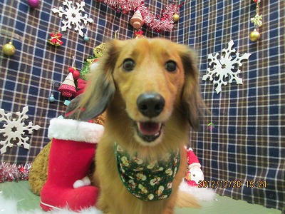 ファイル 5742-1.jpg