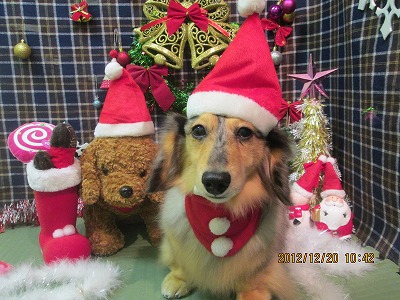 ファイル 5743-2.jpg