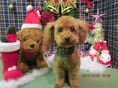 ファイル 5744-1.jpg