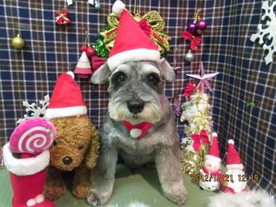 ファイル 5746-1.jpg