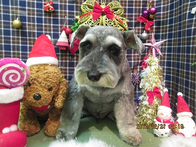 ファイル 5746-2.jpg