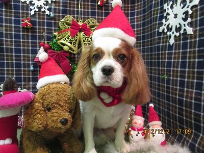 ファイル 5748-1.jpg