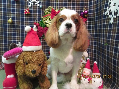 ファイル 5748-2.jpg