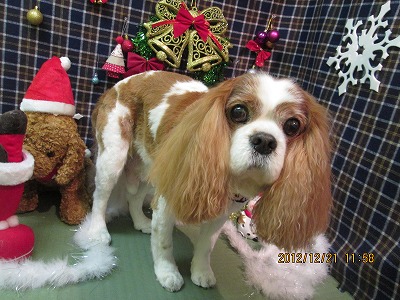 ファイル 5749-2.jpg