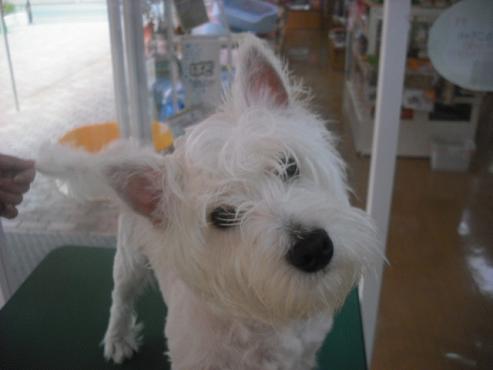 ファイル 575-2.jpg