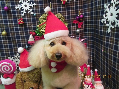 ファイル 5751-1.jpg