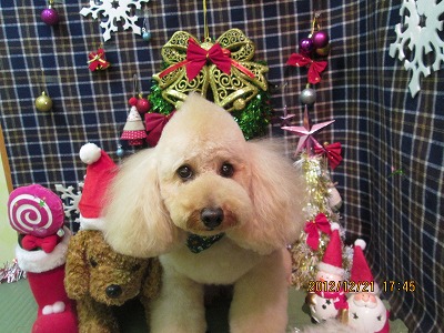 ファイル 5751-2.jpg