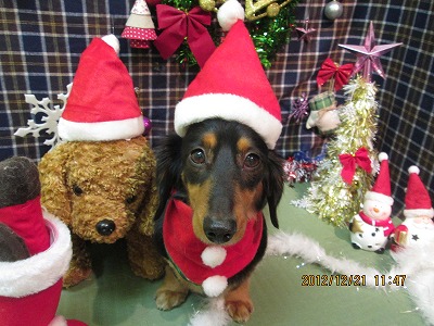 ファイル 5752-1.jpg