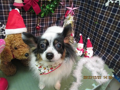 ファイル 5754-2.jpg