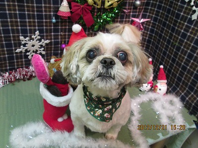 ファイル 5755-2.jpg