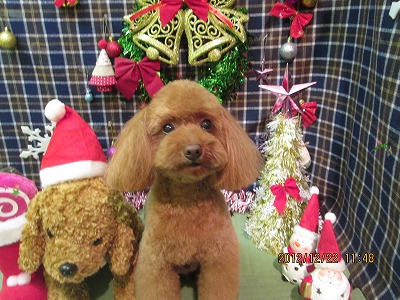 ファイル 5756-2.jpg