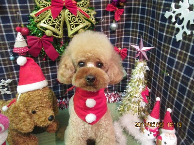 ファイル 5757-1.jpg