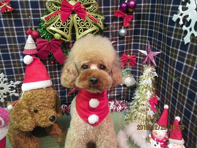 ファイル 5757-2.jpg