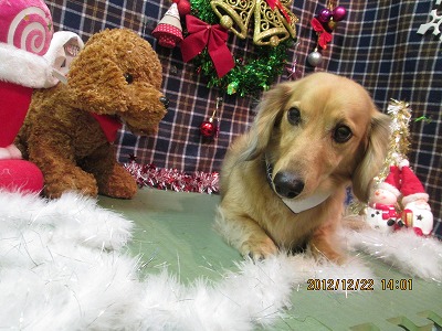 ファイル 5758-1.jpg