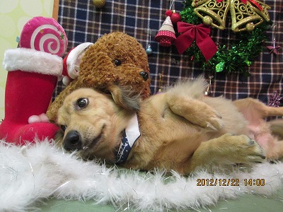 ファイル 5758-2.jpg