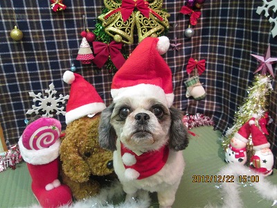 ファイル 5759-2.jpg