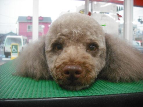 ファイル 576-1.jpg