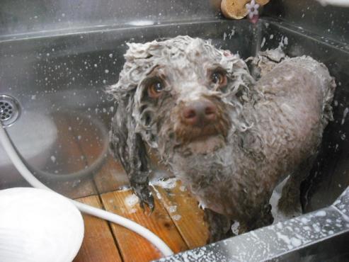 ファイル 576-2.jpg