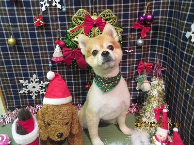 ファイル 5760-1.jpg