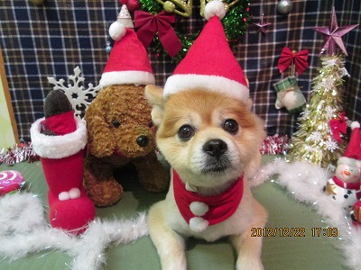 ファイル 5760-2.jpg