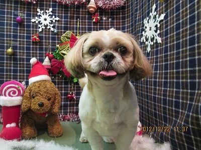 ファイル 5761-1.jpg