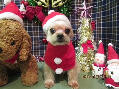 ファイル 5762-1.jpg