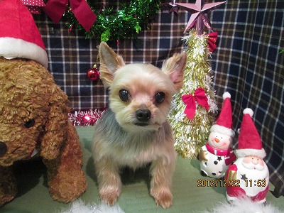 ファイル 5762-2.jpg