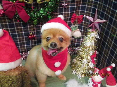 ファイル 5763-2.jpg