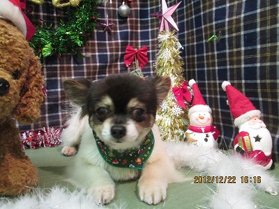 ファイル 5764-2.jpg